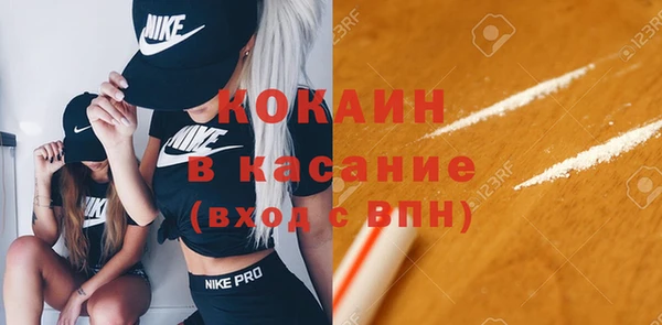 стаф Богородск