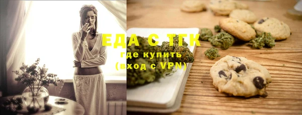 индика Елабуга