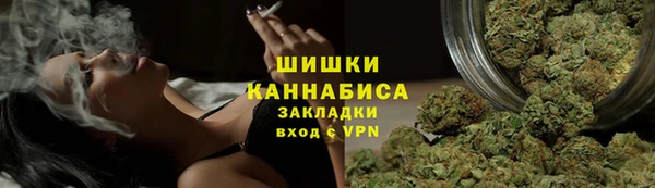кокс Богородицк