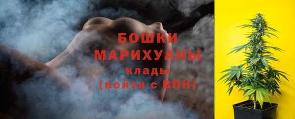 индика Нягань