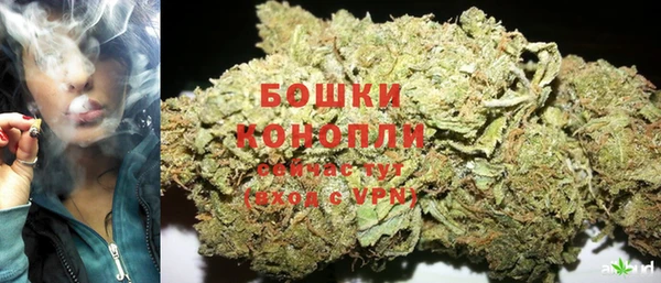 стаф Богородск