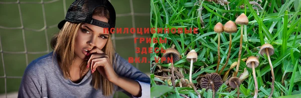 гидропоника Белоозёрский