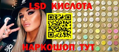 стаф Берёзовский