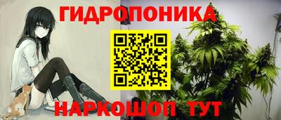 стаф Берёзовский