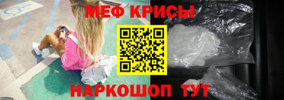 стаф Берёзовский