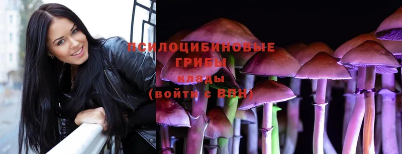 Галлюциногенные грибы MAGIC MUSHROOMS  Боровичи 