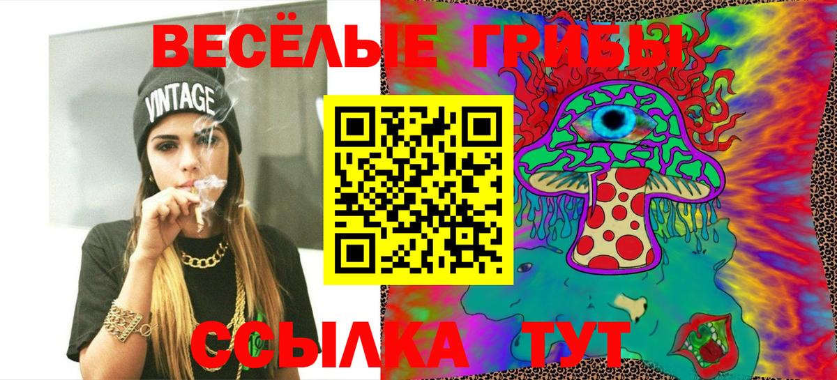 Псилоцибиновые грибы прущие грибы Боровичи