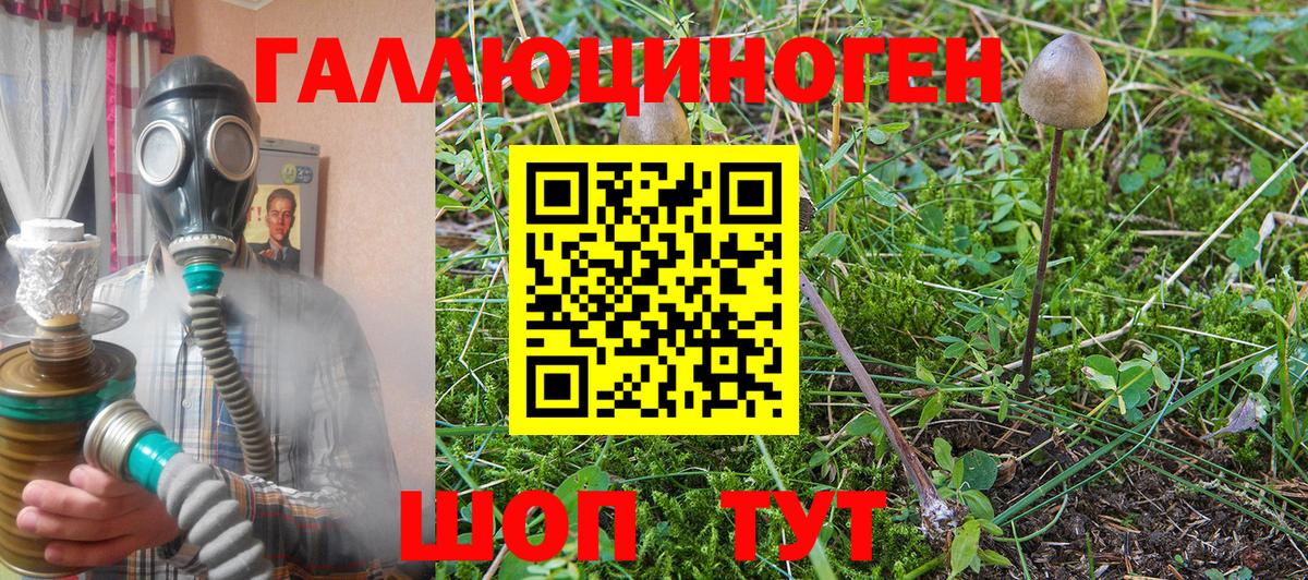 Псилоцибиновые грибы прущие грибы Боровичи