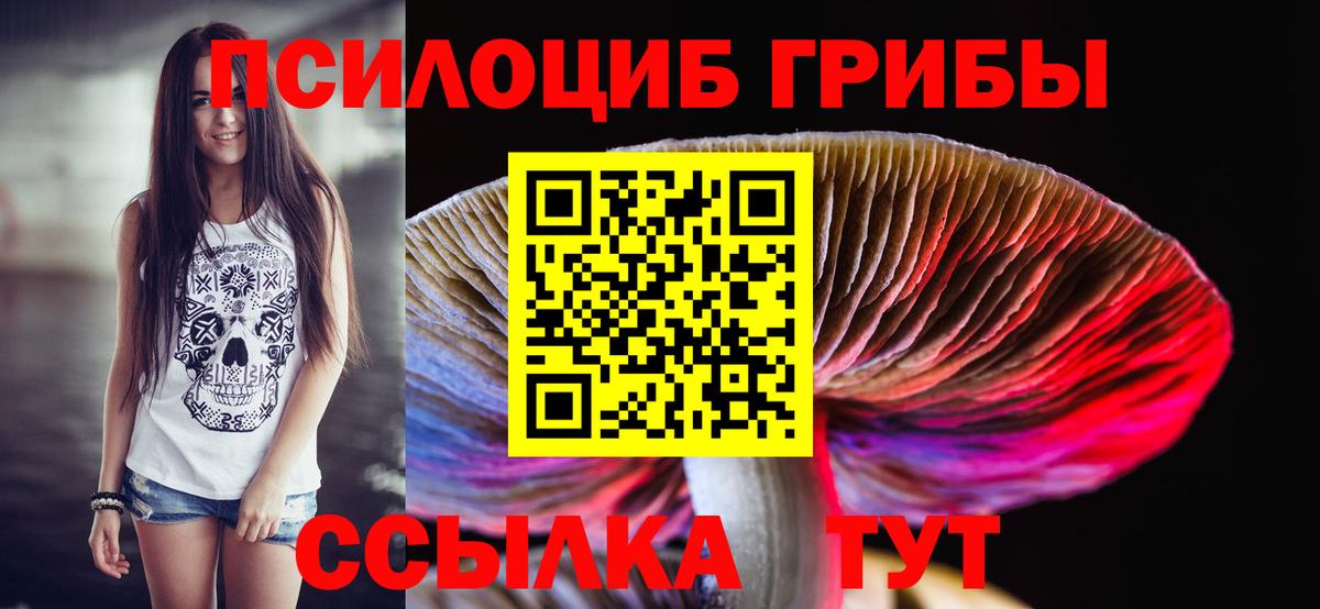 Боровичи  Галлюциногенные грибы прущие грибы  Псилоцибиновые грибы ЛСД  Вход с VPN 