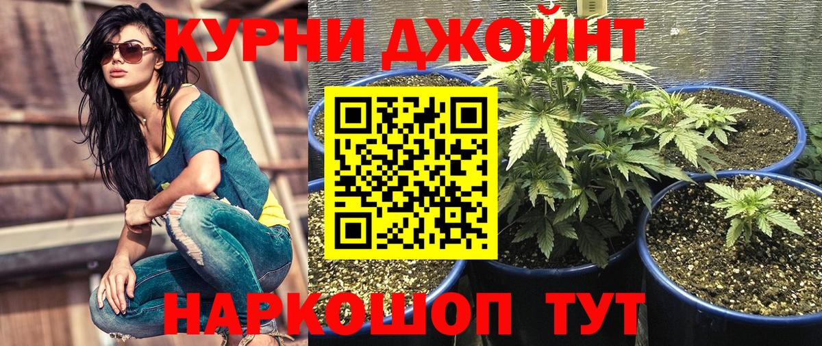 Марихуана тримм  Боровичи  Канабис VHQ  Марихуана Ganja 